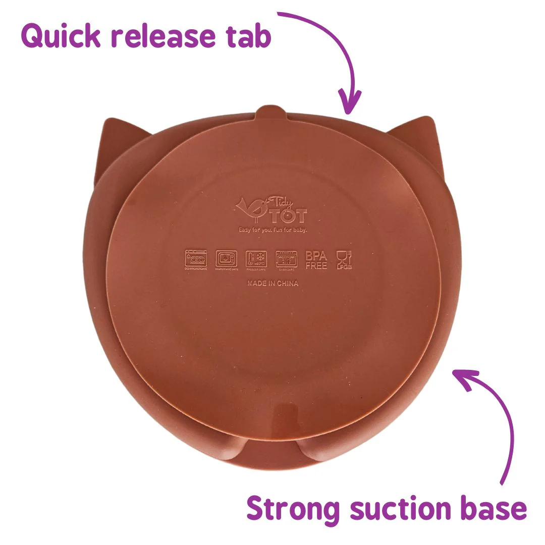 Silicone Suction Plate & Weaning Spoon Bundle