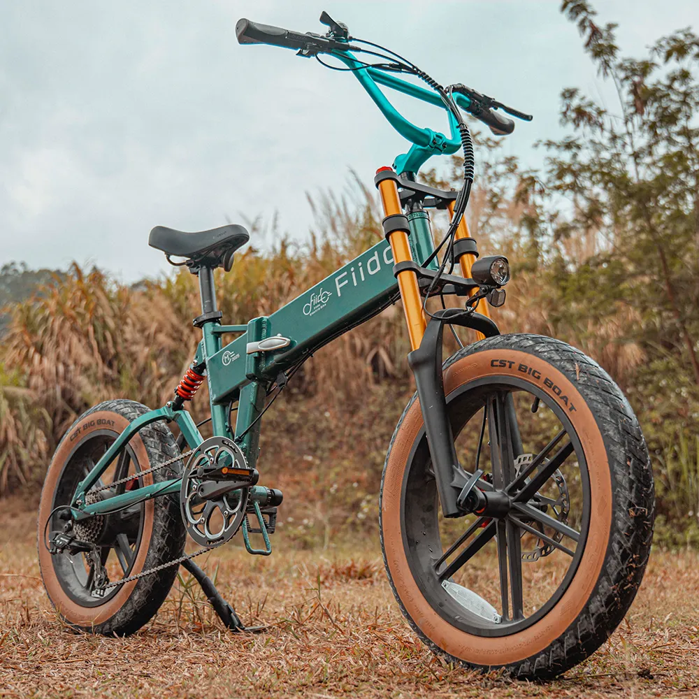 Fiido M1 Pro Elektrische Big Wheel Fatbike Fiido M1 Pro Elektrische Fatbike