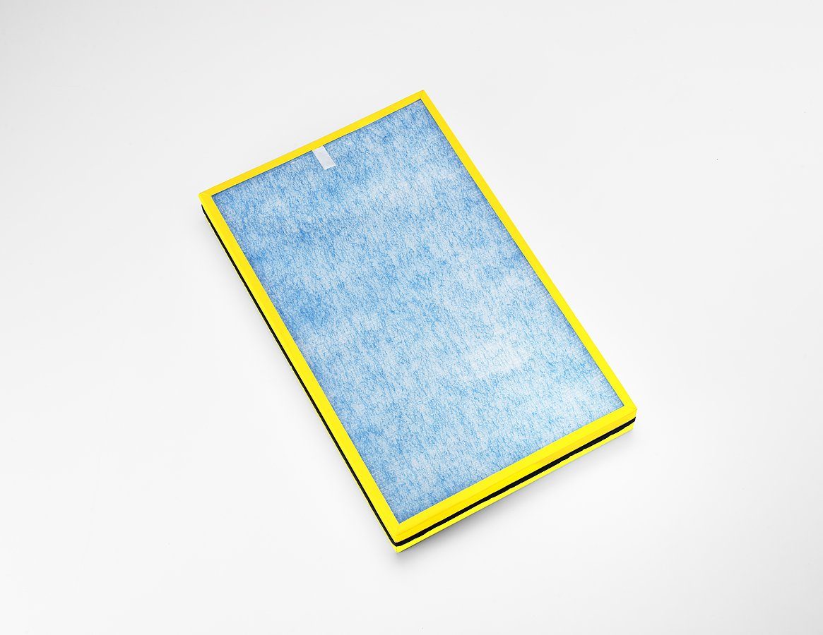 Luftfilter Allergy Filter A501 passend für P500