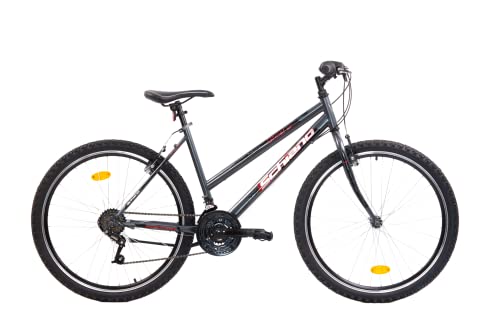 F.lli Schiano Ghost Bici MTB 26'', Donna, Antracite Rosso : Sport e tempo libero
