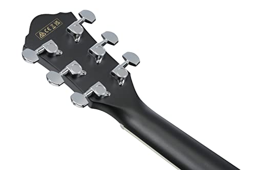 Ibanez Acoustic guitar / AEG7MHWK Standard : Strumenti Musicali