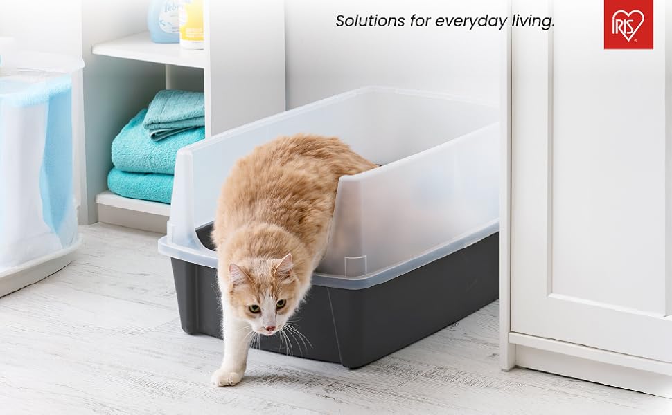 Piccolo gatto rosso che interagisce o indaga su un dispositivo o apparecchio elettronico bianco in un ambiente domestico.