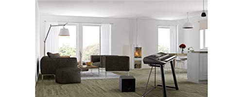 YAMAHA Subwoofer KS SW100 : Amazon.it: Elettronica
