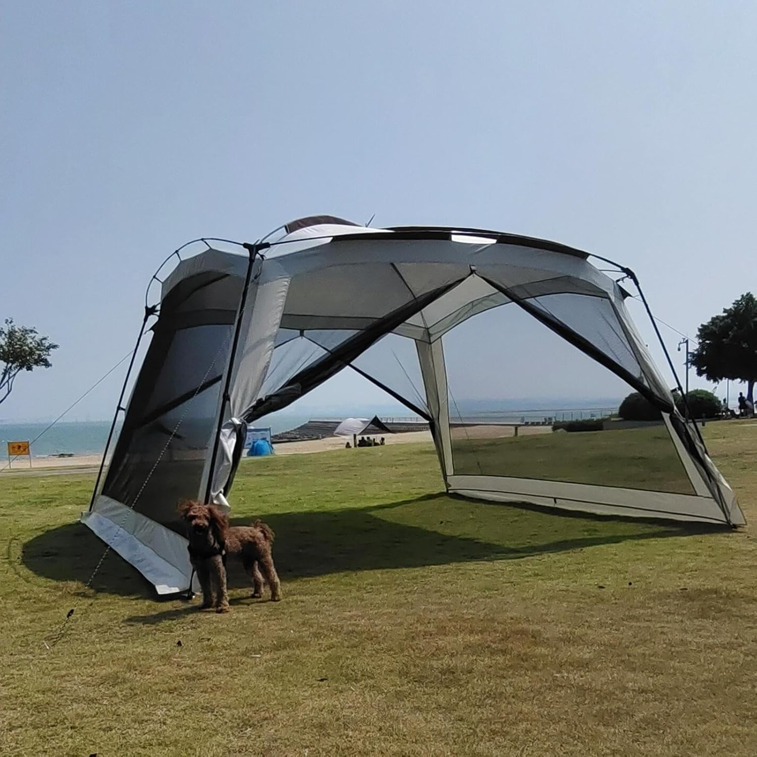 Maschen| Tragbarer UV-beständiger Schirm Mit Netz | Netz für den Außeneinsatz,Für Familienausflug Picknick Im Garten Wandern Roadtrips Und Reisen