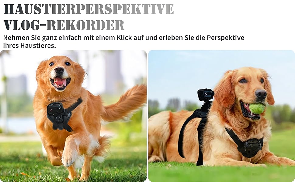 Telecamera collare per animali domestici 2K