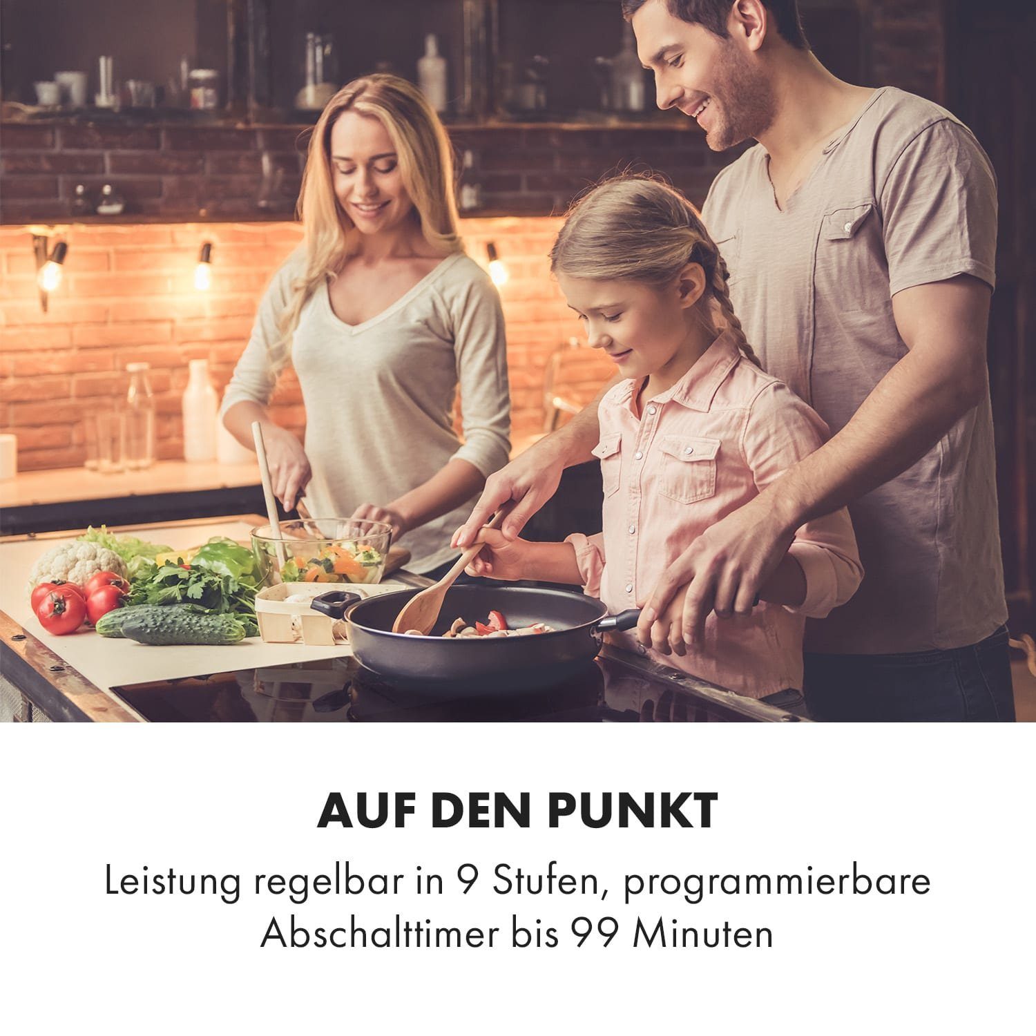 Induktions-Kochfeld Delicatessa 3