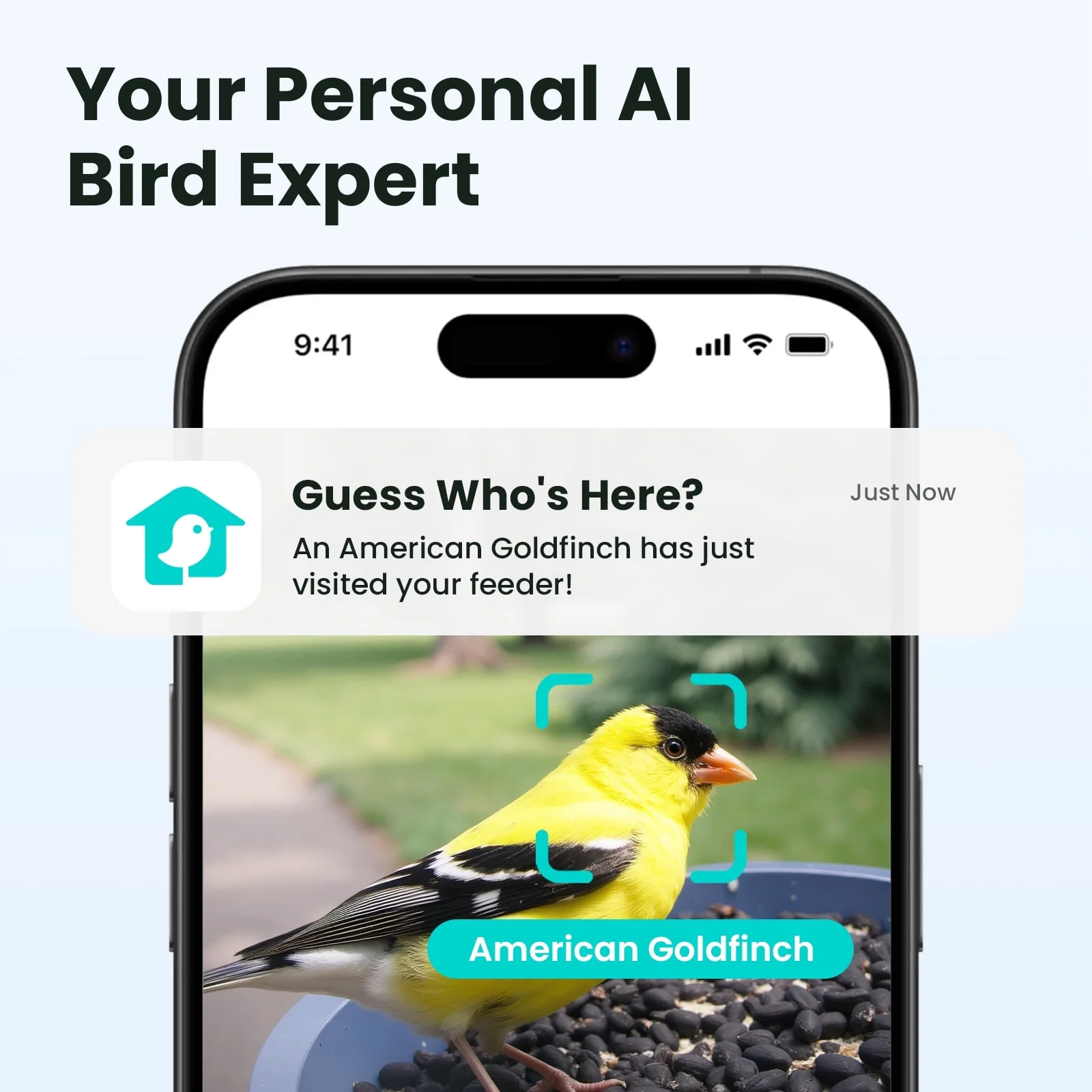 Birdfy Smart Bird Feeder with Camera, 60FPS Smooth Video, AI Bird Identification & Instant Alerts, Auto Capture, Perfect Gift for Bird Lovers