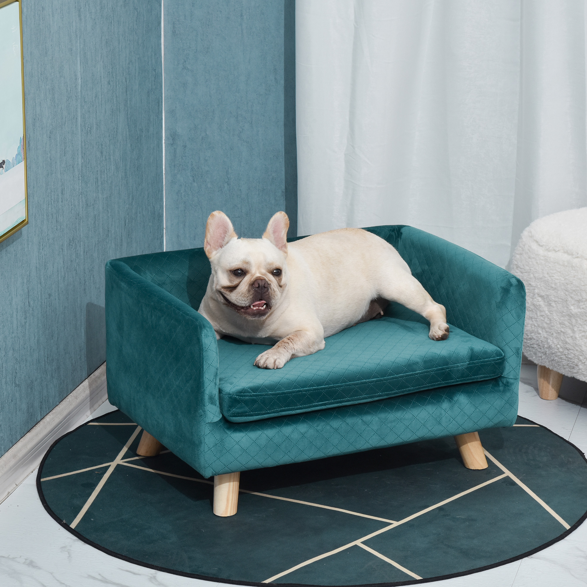 PawHut Hundesofa Katzenbett skandinavisches Design mit flauschigem Kissen massiven Holzfüßen Maße 64 x 45 x 36 cm Velours Entenblau