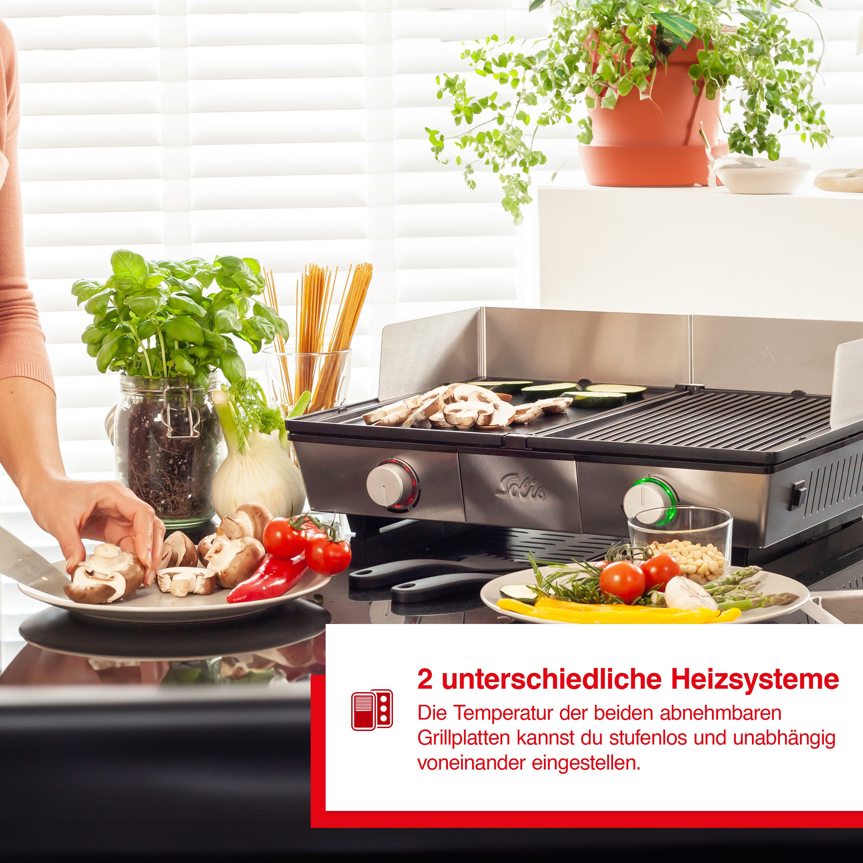 Tischgrill Deli Grill (Typ 7951)