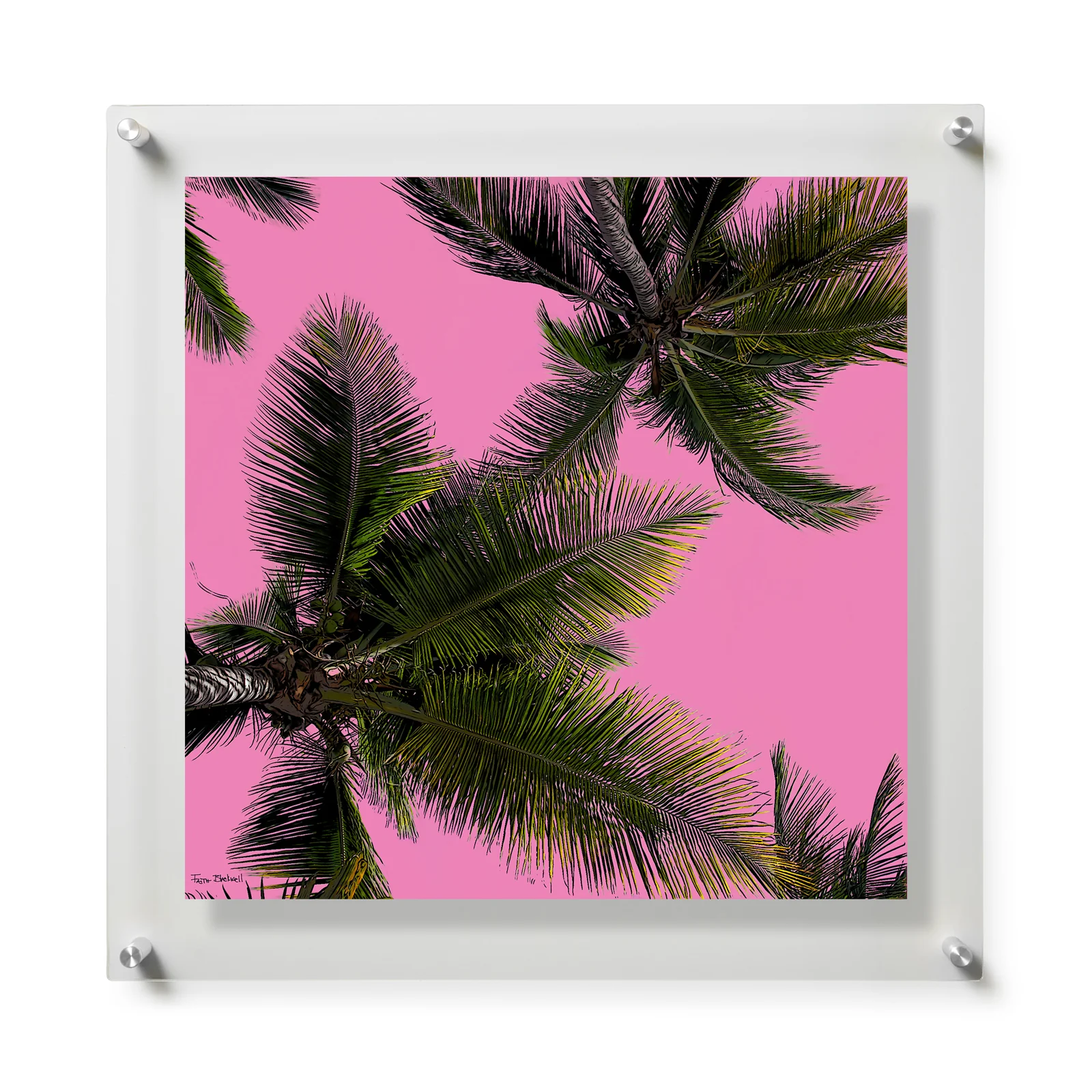 Palm Trees by Faith Blackwell