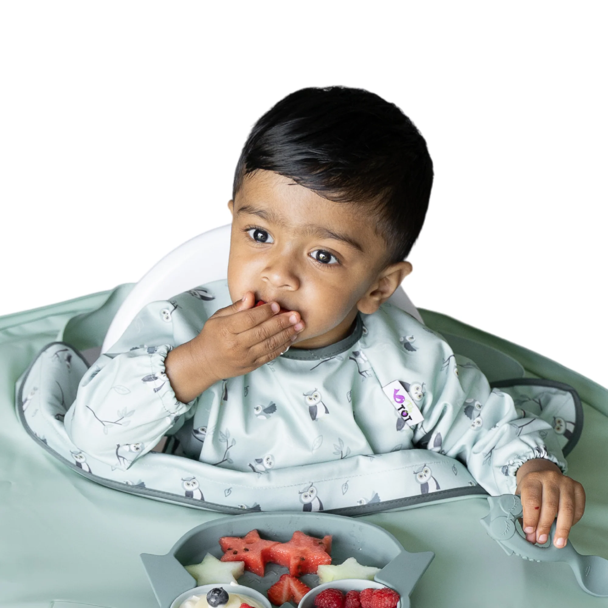 Ultimate Baby Led Weaning Bundle