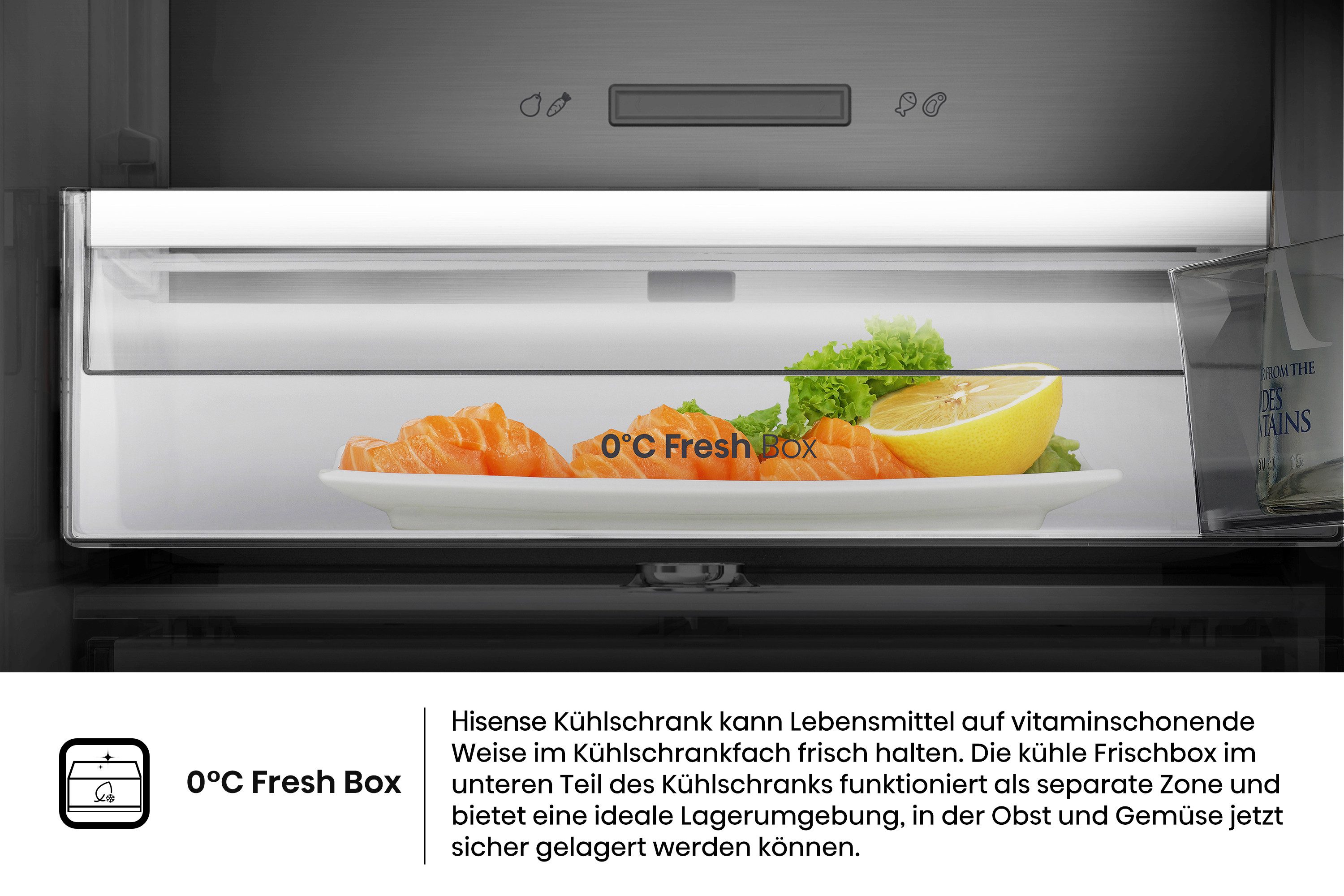Kühl-/Gefrierkombination RB5P410SACC
