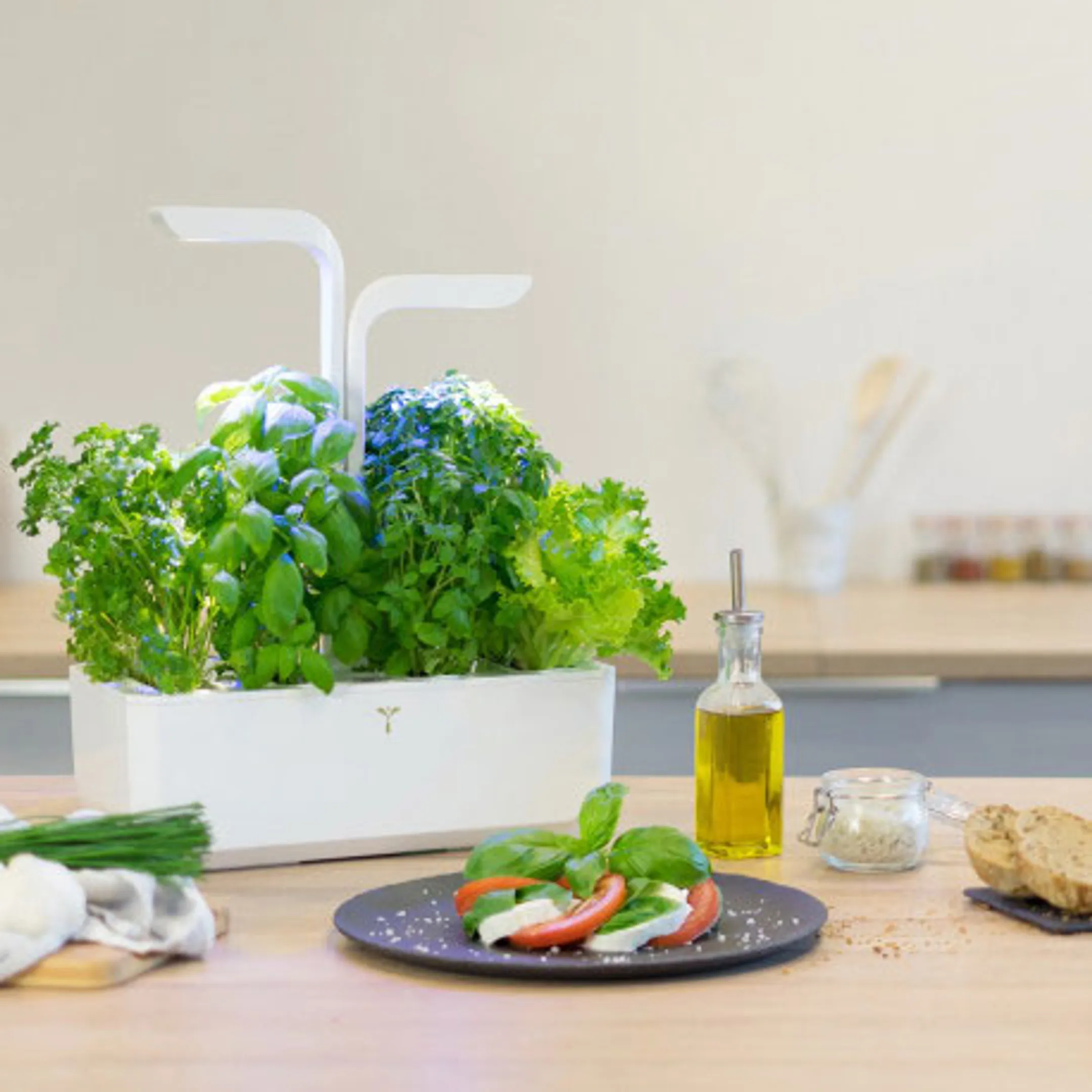 VERITABLE Moestuin Classic