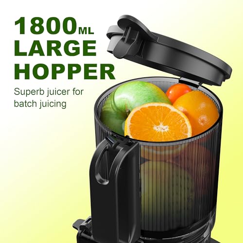 Cold Press Juicer Machine,Masticating Slow Juicers, 5.3