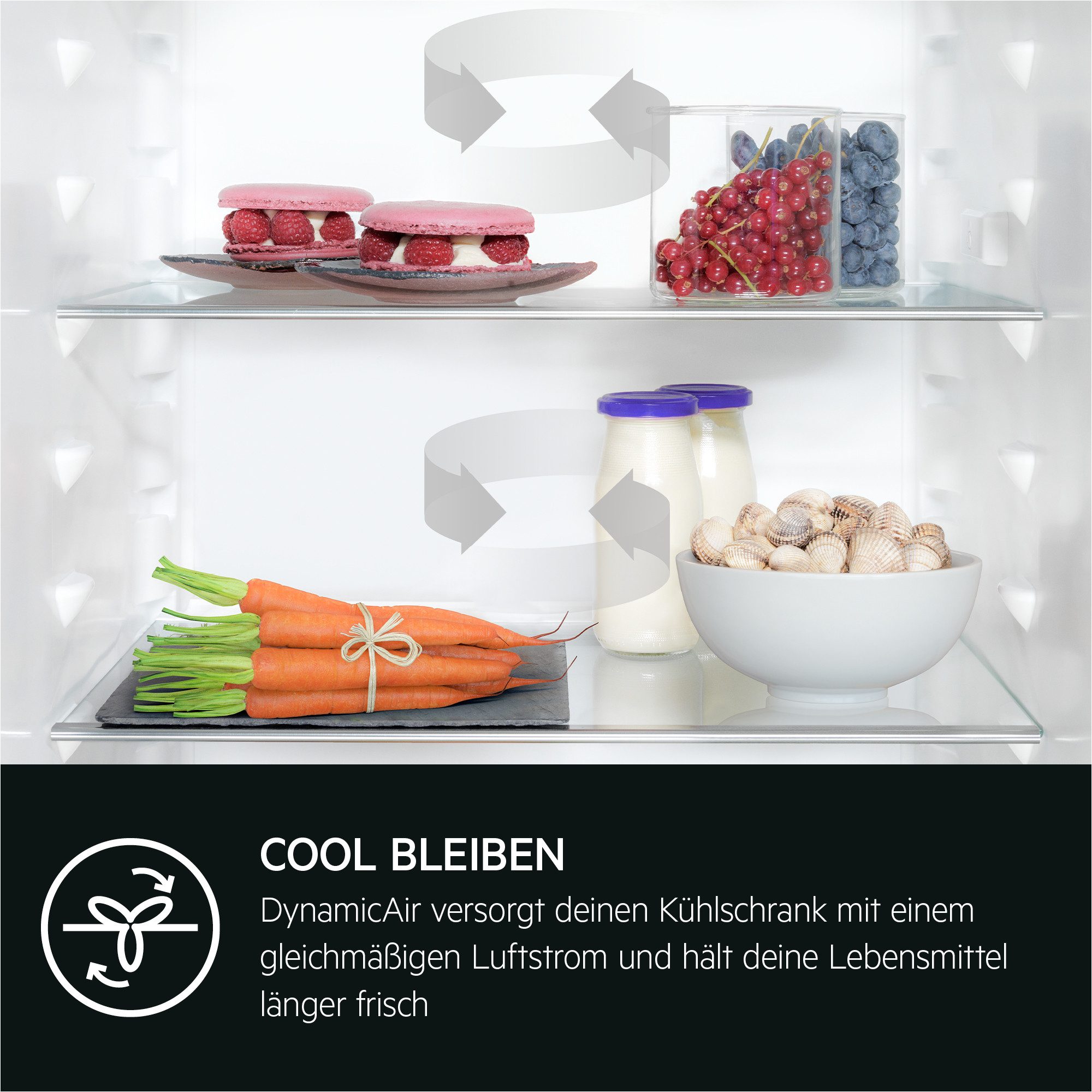 Einbaukühlschrank 6000 TK6DS18WEC