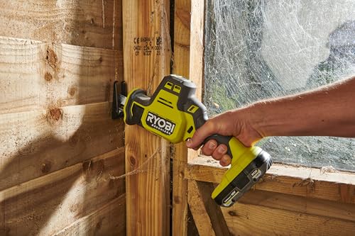 Ryobi RRS18CBL 0 18V ONE    Sega alternativa, compatta, senza spazzole : Amazon.it: Fai da te