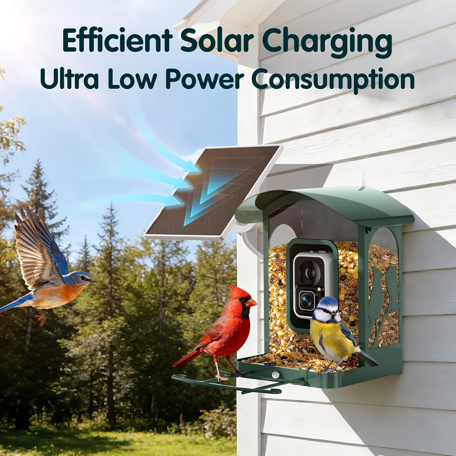 Bird Feeder with Camera  4K Ultra HD Video with 30fps Live View  10x Slow Motion  No Subscription  Solar Powered AI Smart Bird Feeder with Camera  2.4G/5G Wi-Fi  Durable Metal Bird Lover Gift