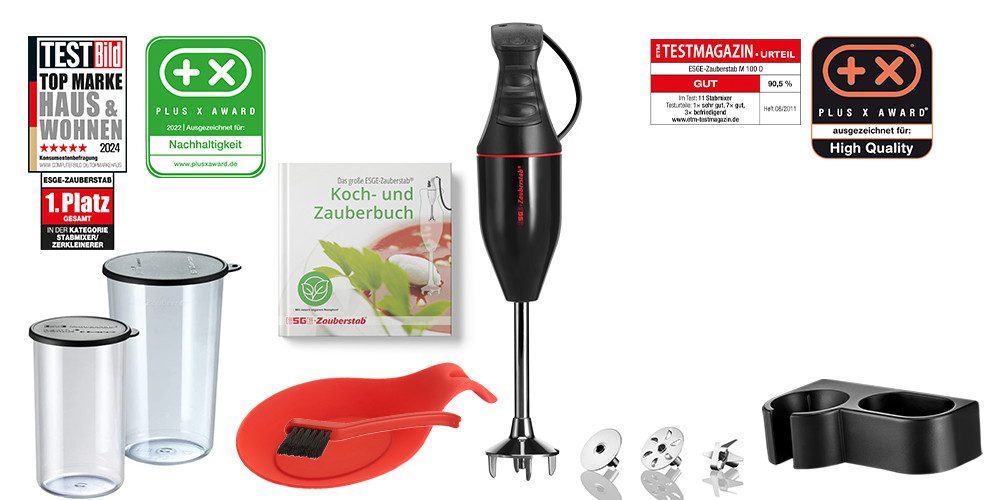 Stabmixer ESGE-Zauberstab QVC Set M 100 D 9142600