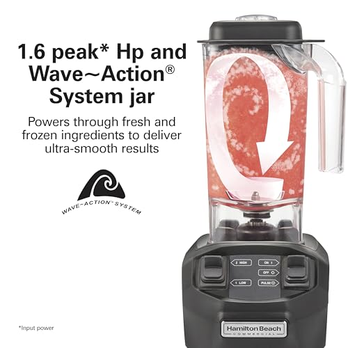 Hamilton Beach Commercial HBB255 Rio Bar Blender, 1.6 Horsepower, 48 Ounce Capacity, BPA Free Container, NSF Certified : Home & Kitchen