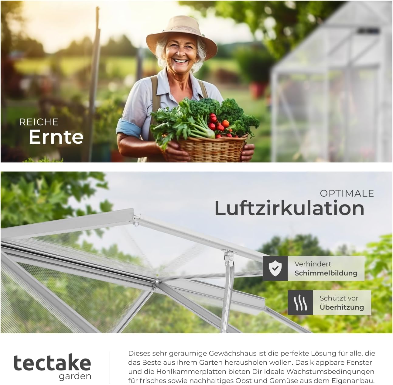 tectake® Aluminium Gewächshaus, 190x185x195 cm, Treibhaus, Tomatenhaus, Frühbeet, Pflanzenhaus, UV beständig, 4 mm Platte, Schiebetür & Dachfenster, Schutz vor Kälte, Regen und Frost - ohne Fundament