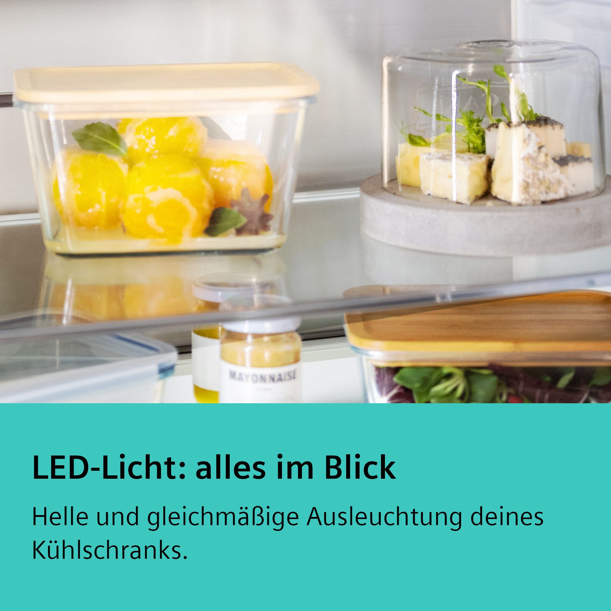 Einbaukühlschrank iQ700 KI51FADE0