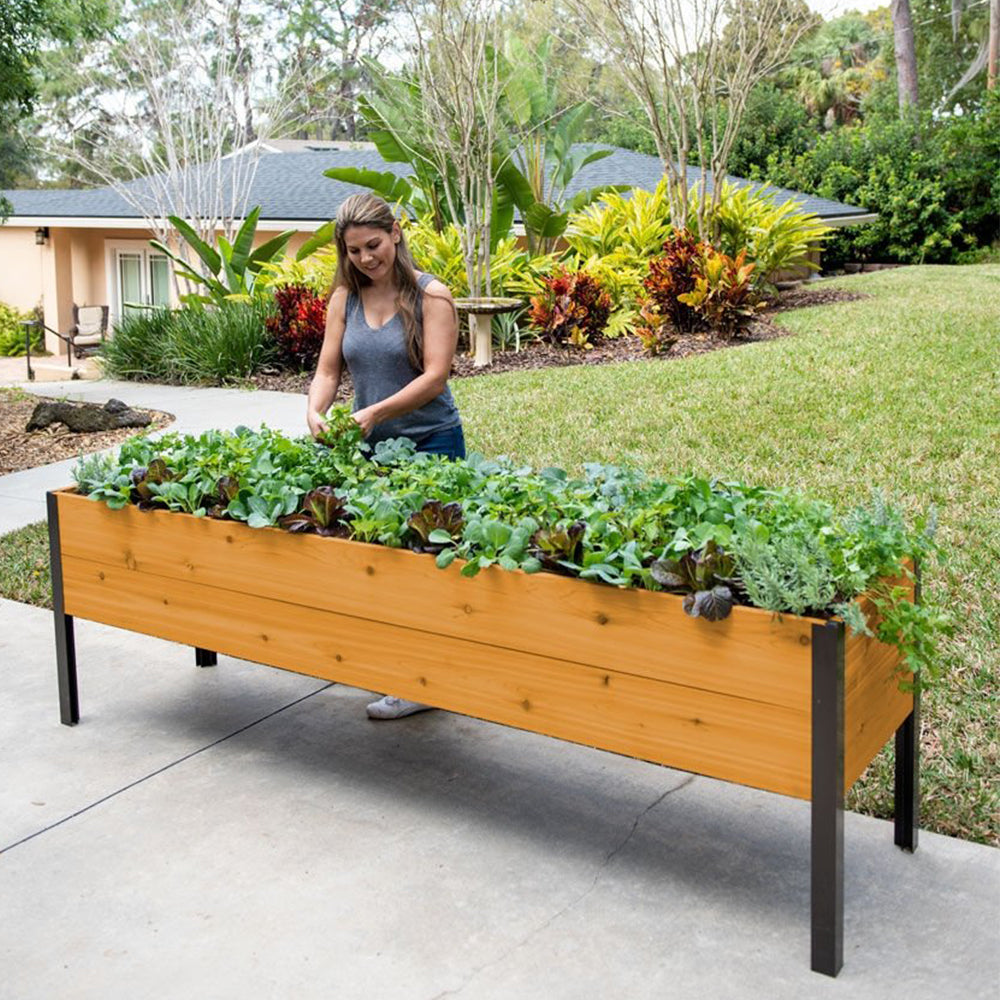 Mart special today Last 30sets Self Watering Eco Stained Elevated Planter Box