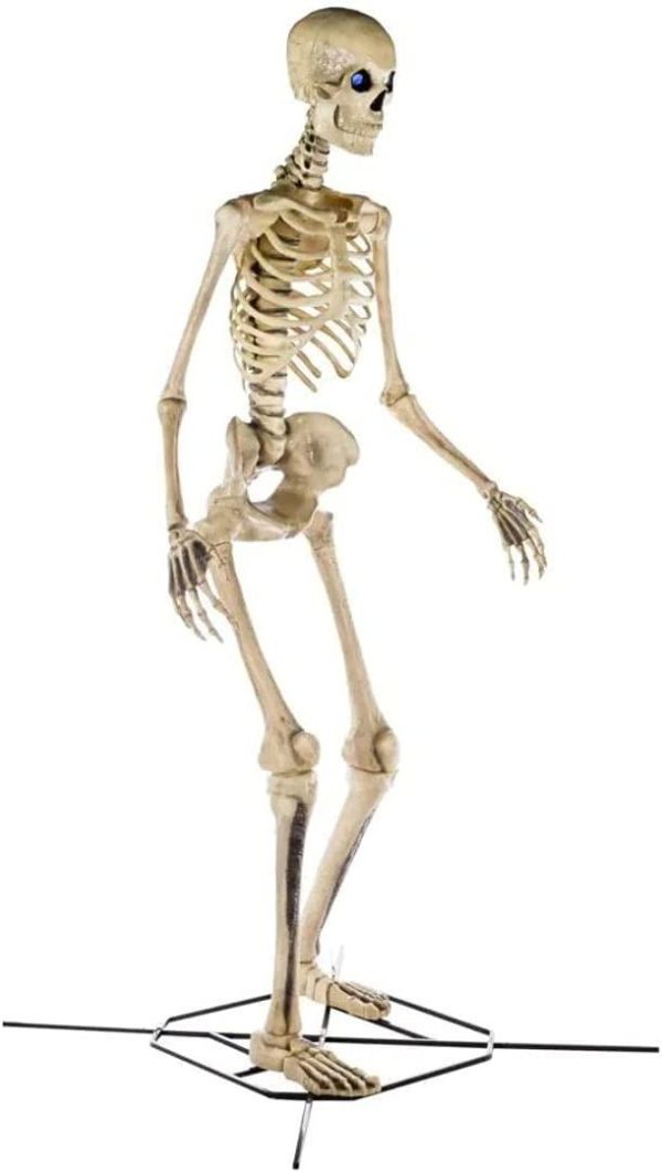 Home Accents 12 ft Giant Skeleton with LifeEyes, 95 lbs &ndash; Halloween Decoration