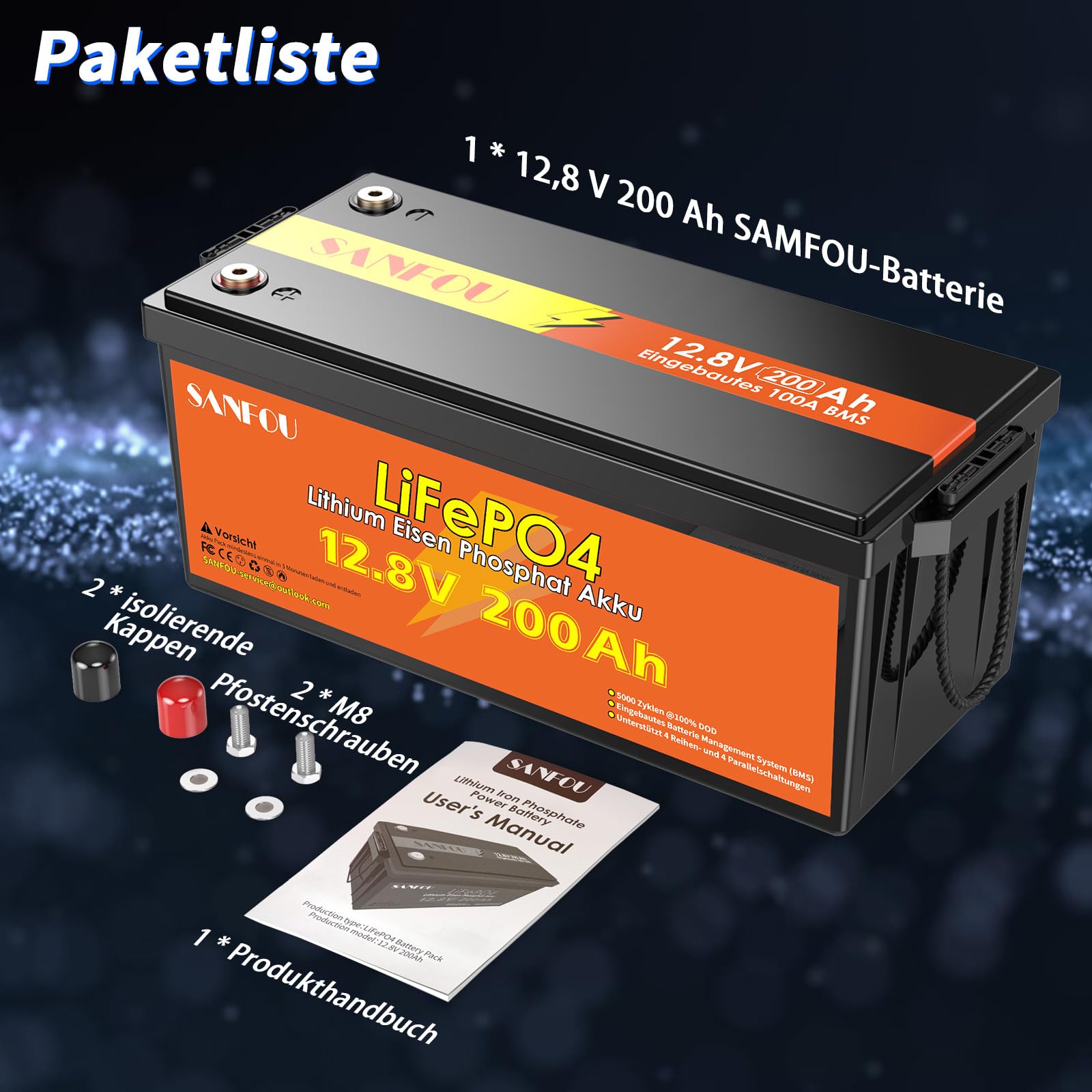 LiFePO4 Batterie 12V 200Ah mit 100A BMS, 2560Wh Lithium Akku für Wohnmobil und Camping