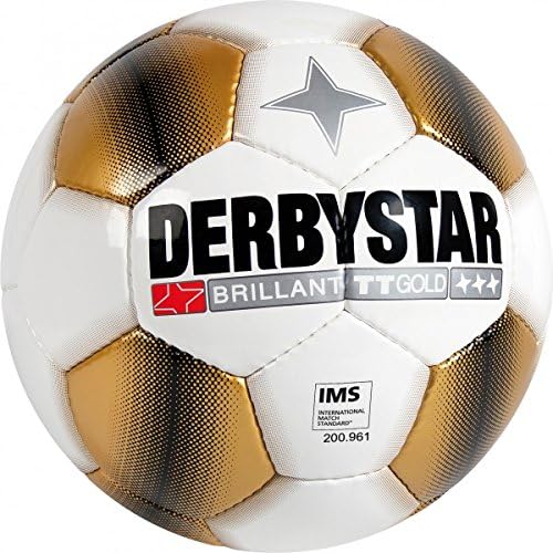 Derbystar 10 x Trainingsball - BRILLANT TT inkl. Ballsack