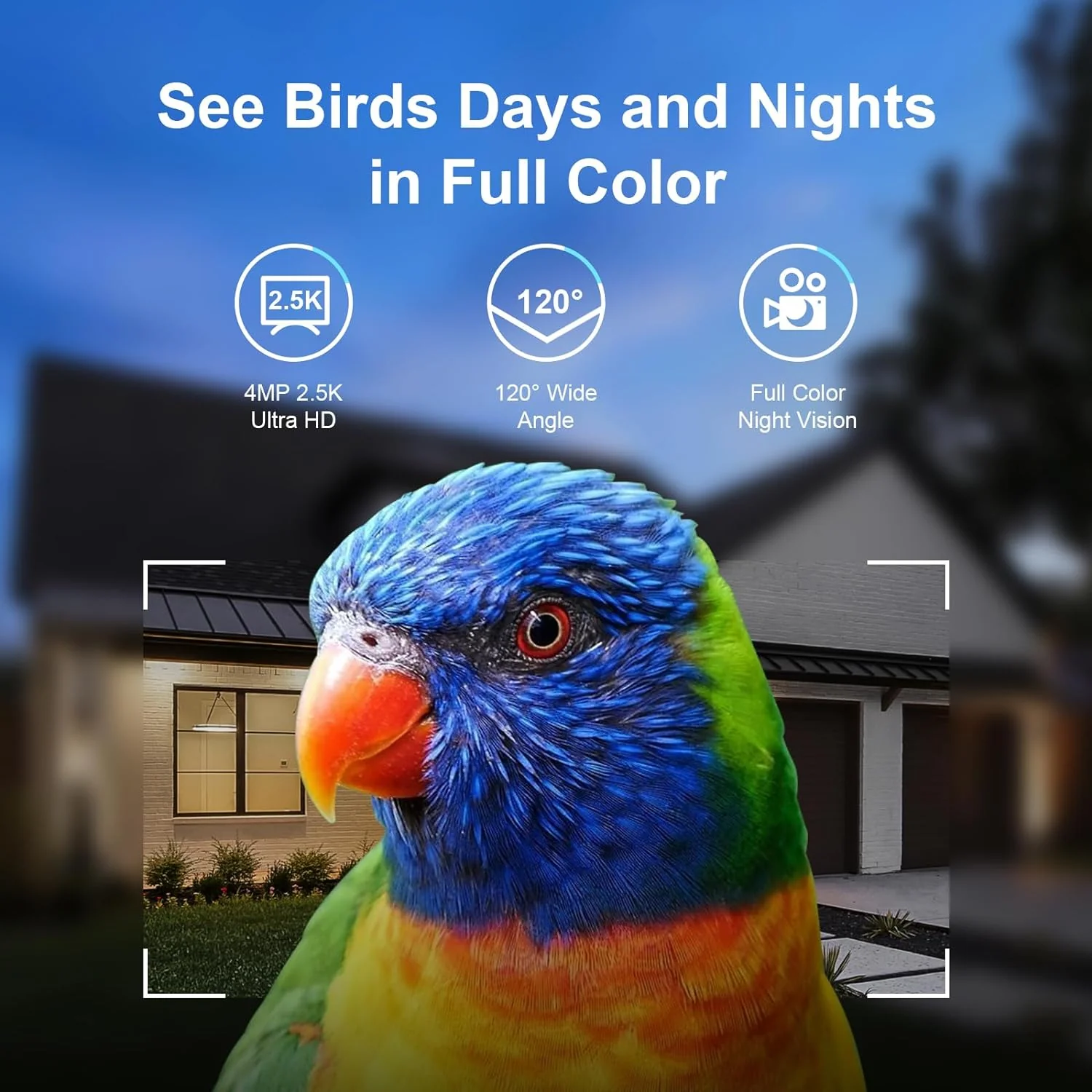 Smart Bird Feeder Camera - 4MP 2.5K Full HD, 64G TF Card Included, Solar Powered Wireless, Auto Capture Bird Video & Notify Detected Birds, AI Identify 11000+ Birds Feed Watching Camera