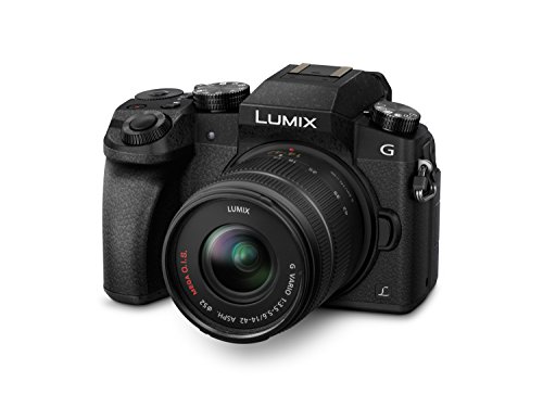 Panasonic SISTEMA MACCHINA FOTOGRAFICA pollici
