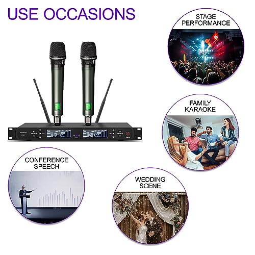 Depusheng DR666 Microfono wireless professionale Karaoke Doppio microfono senza fili palmare, scocca in metallo, ricezione a lunga distanza 100 metri, dedicato per il palcoscenico del bar : Strumenti Musicali