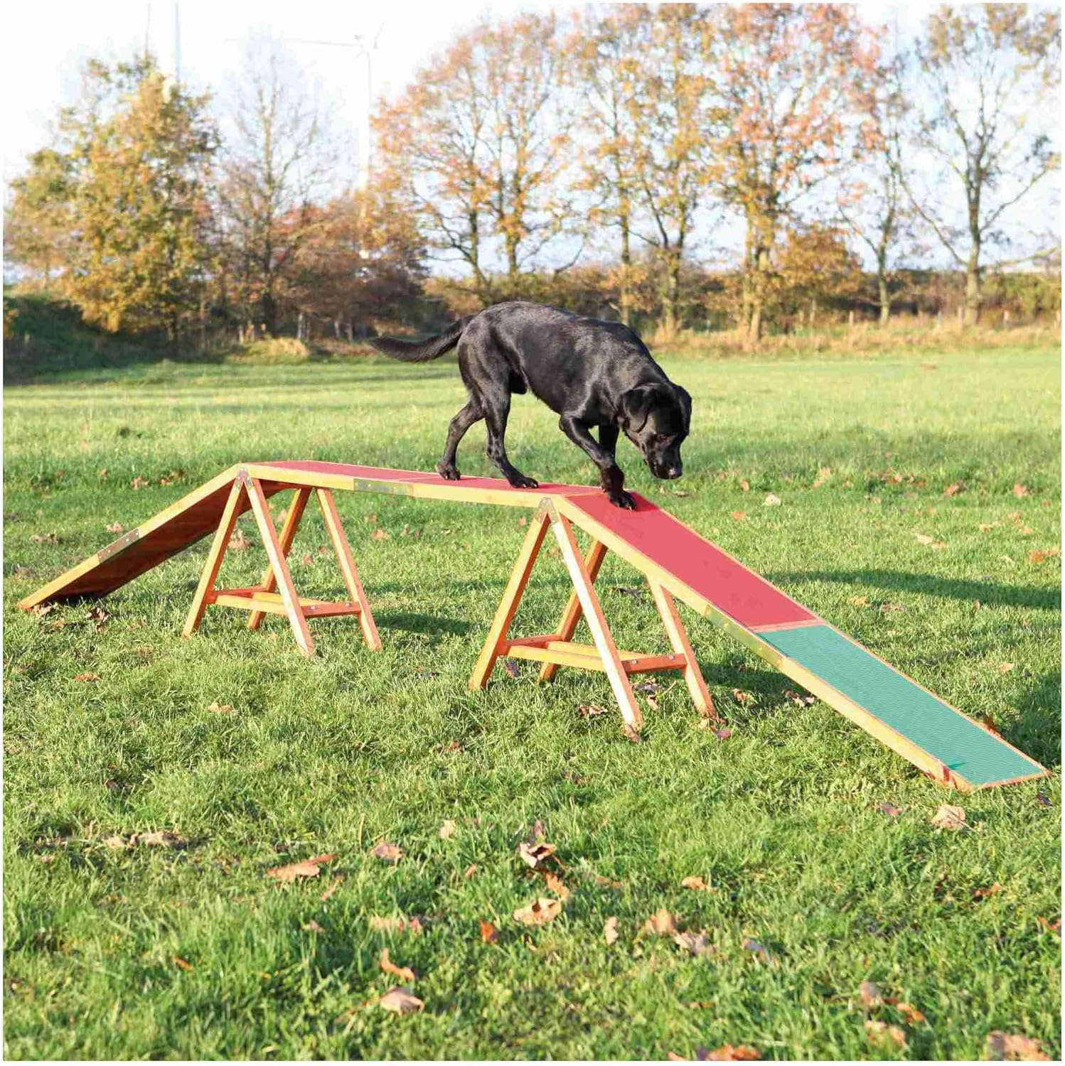 TRIXIE Hunde Agility Steg �C Agility-Ausr��stung f��r Hunde als Laufsteg & Trainingsequipment, wetterfestes Agility-Ger?t f��r Anf?nger & Fortgeschrittene, 456 x 64 x 30 cm - 32090