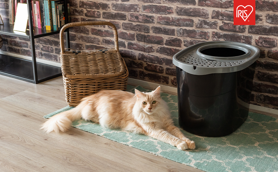 Lettiera per gatti con coperchio a fori - TECL-20