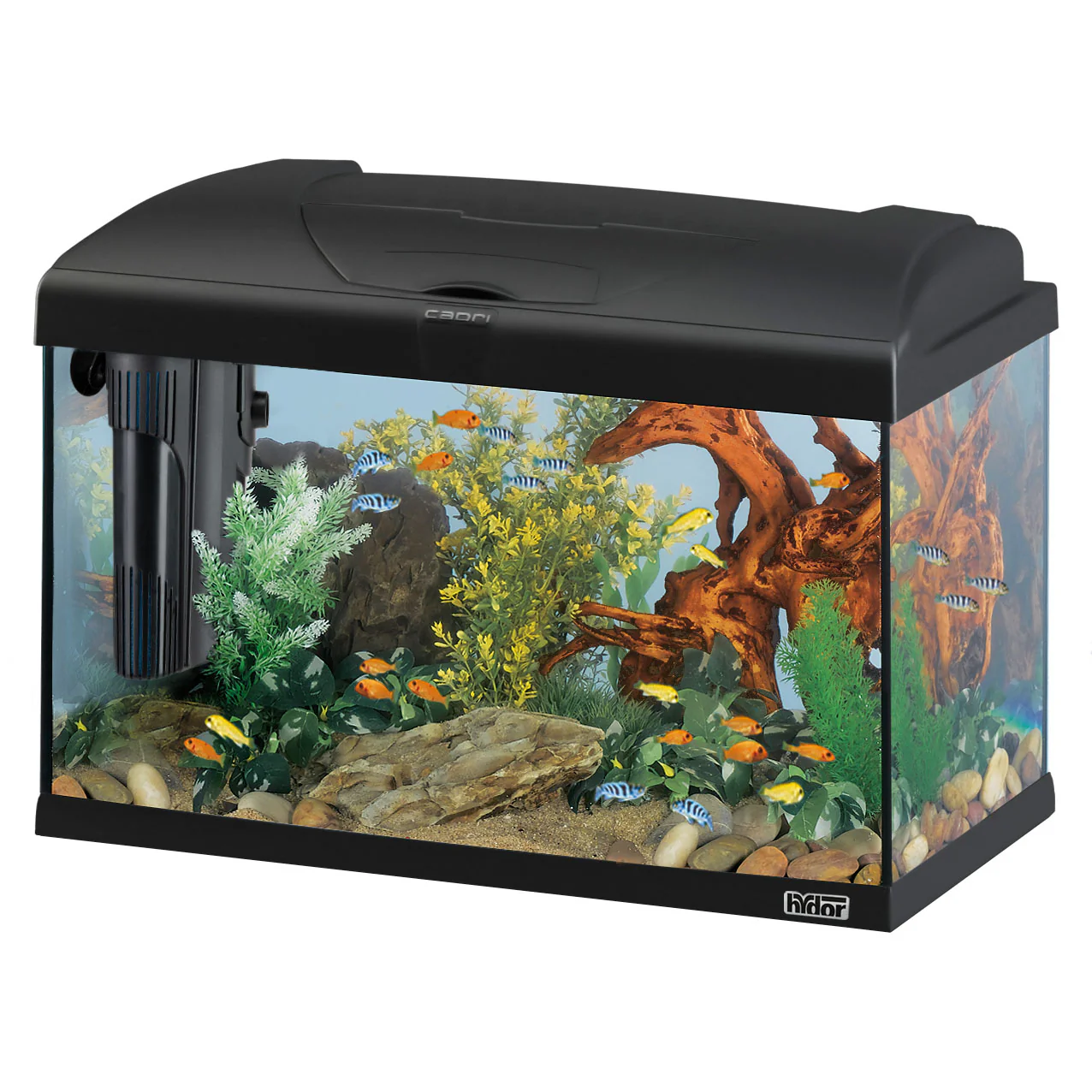 CAPRI 60 LED Acquario da 60 Litri – Illuminazione LED Efficiente e Sistema di Filtrazione Bluwave