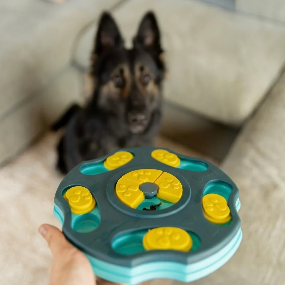 Beginner Dog Puzzle Toy �C Simple Compartments for Mental Stimulation & Confidence Building