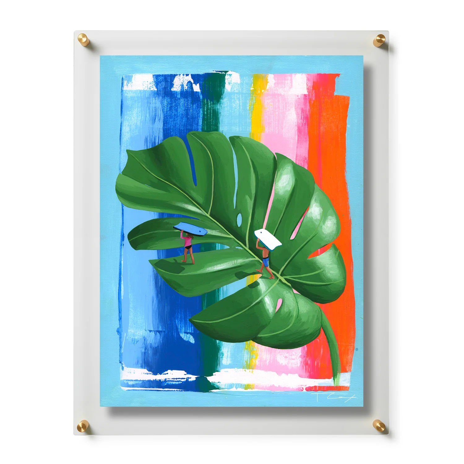 Monstera by Taylor Cox