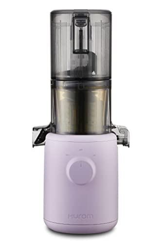 Hurom H310A Personal Self Feeding Slow Masticating Juicer (H310A Lavender): Home & Kitchen