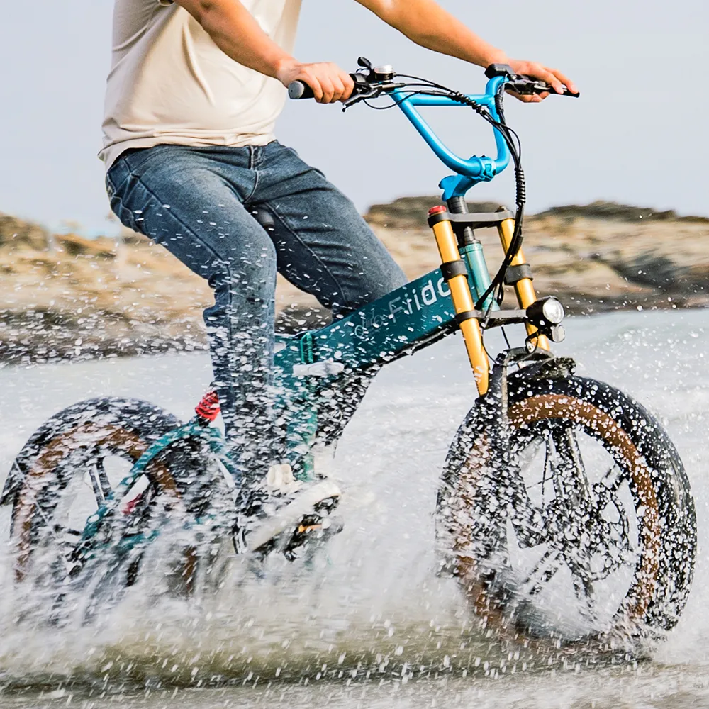 Fiido M1 Pro Elektrische Big Wheel Fatbike Fiido M1 Pro Elektrische Fatbike