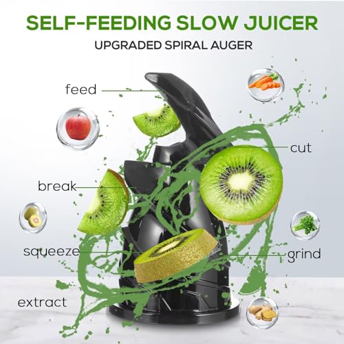 celiberry Cold Press Juicer, Slow Masticating Juicer Machines with 4.25