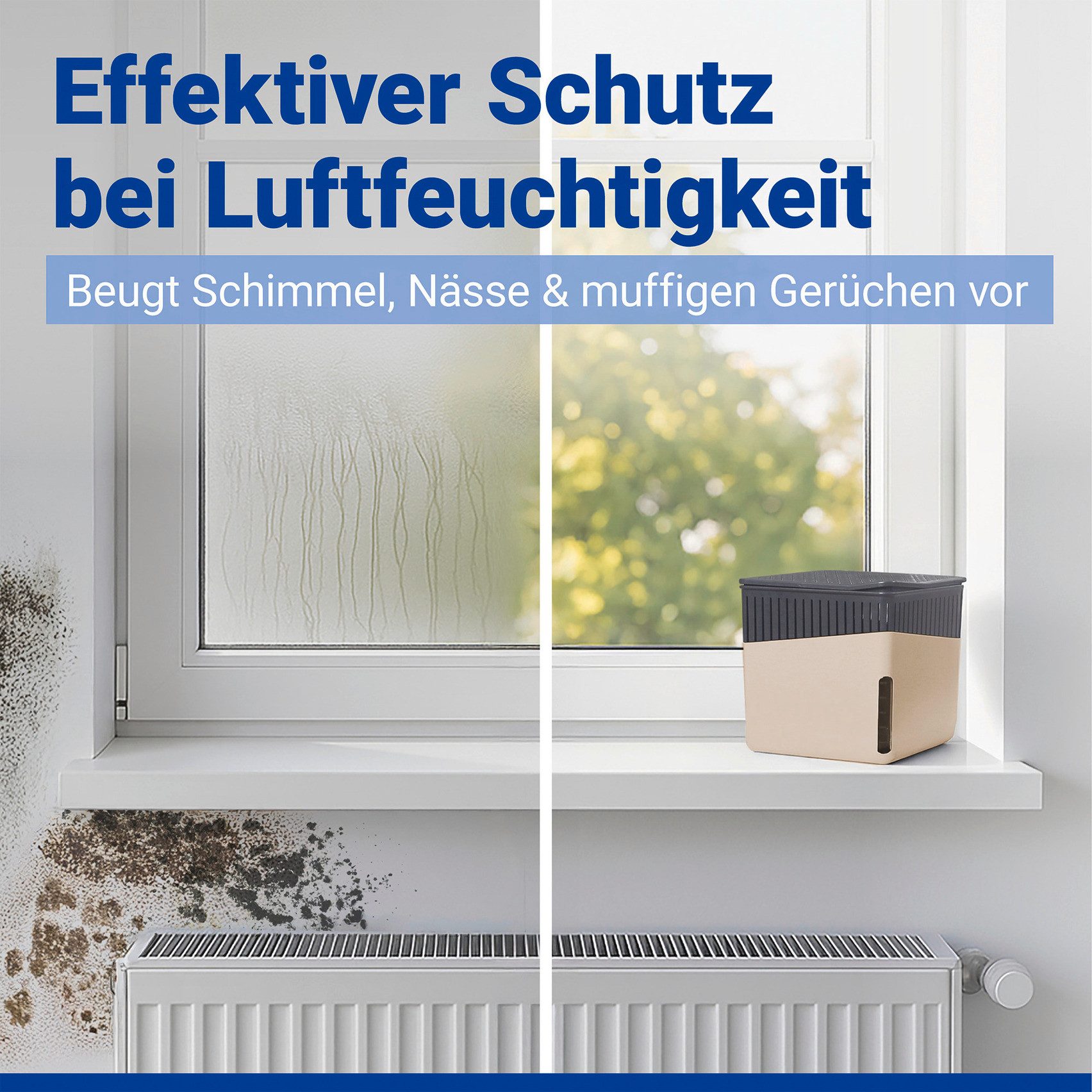 Luftentfeuchter Cube