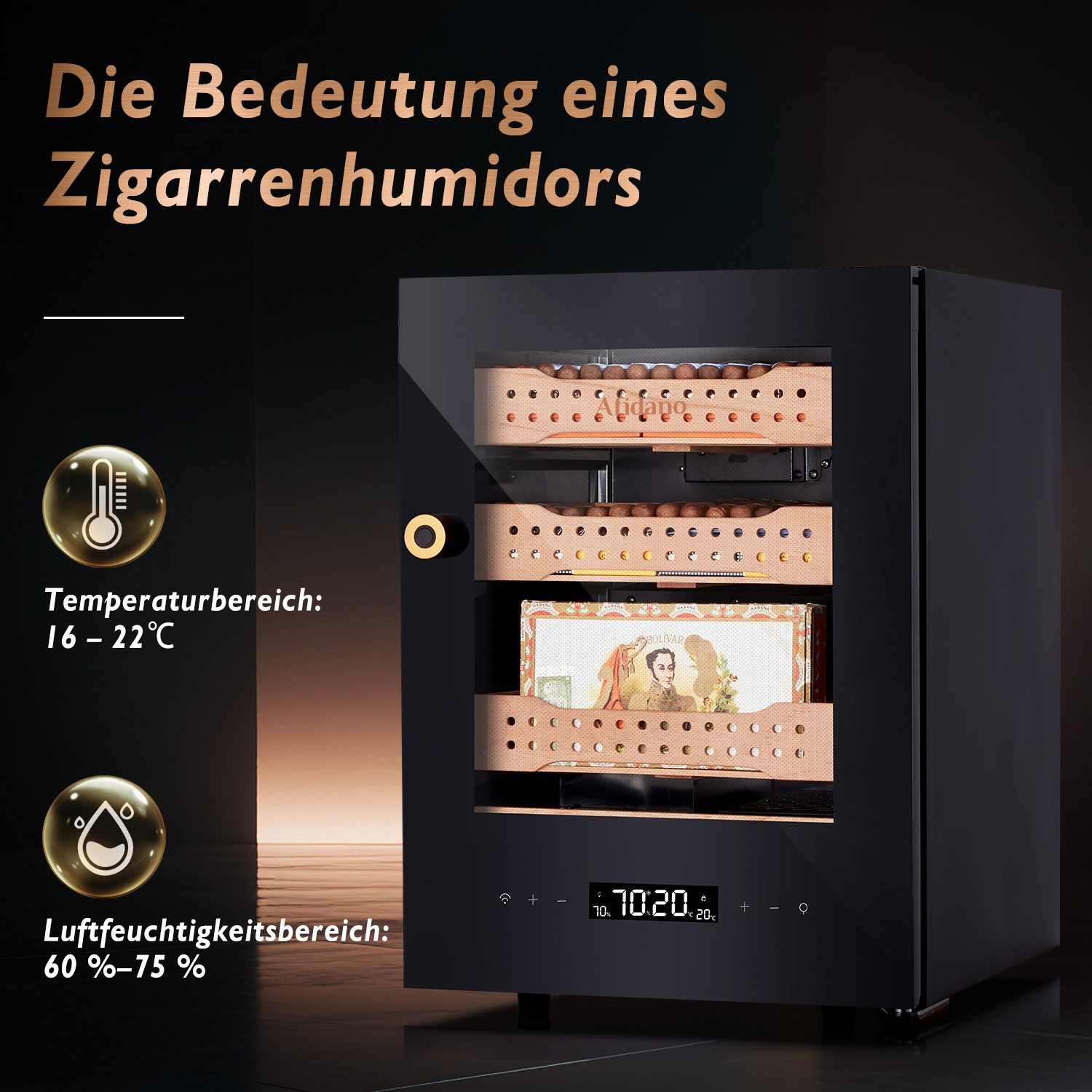 Humidor CH-50A2-B1