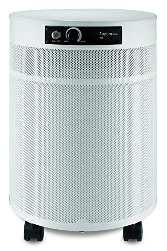Airpura C700 DLX   Chemicals and Gas Abatement Plus Air Purifier (WHITE) : Home & Kitchen