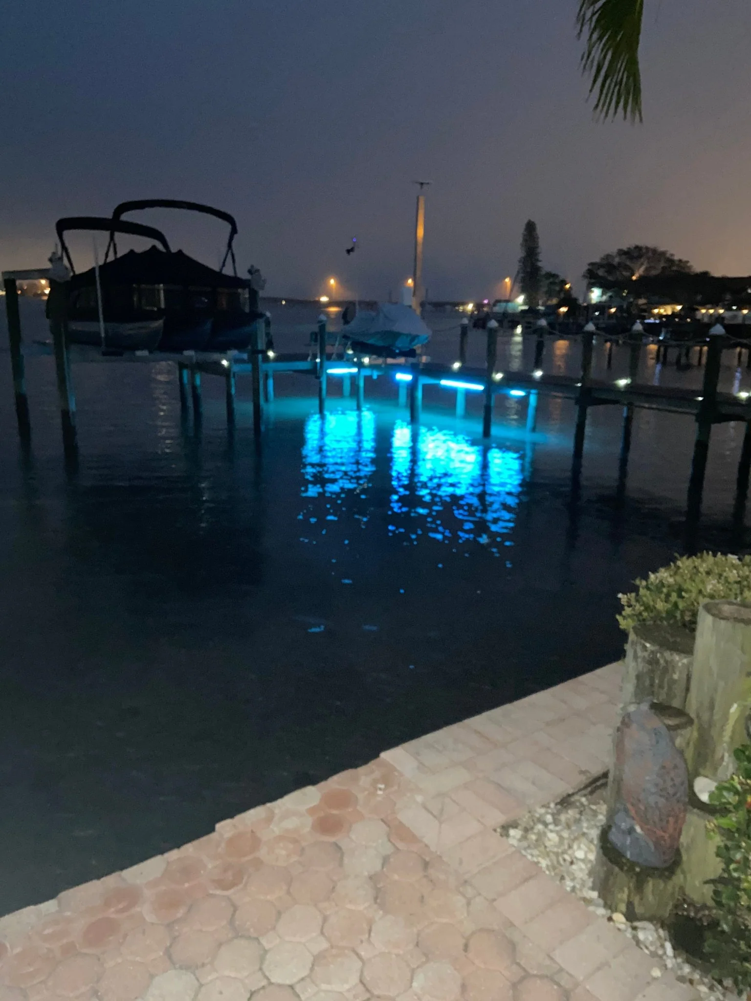 Pimp My Dock 50ft Length DIY Neon Multi-Color, Color Changing Premium LED Under Dock Accent Lighting Kit IP68 Completely Waterproof