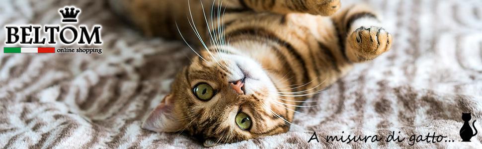 I nostri articoli da gioco per gatti 