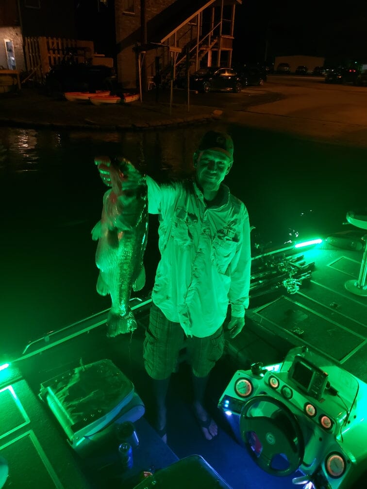 Green Blob 110V Bottom Bobber: LED Underwater Dock Fishing Light