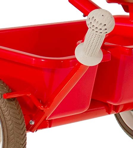 Italtrike   Triciclo Passenger da 1 a 5 anni : Giochi e giocattoli