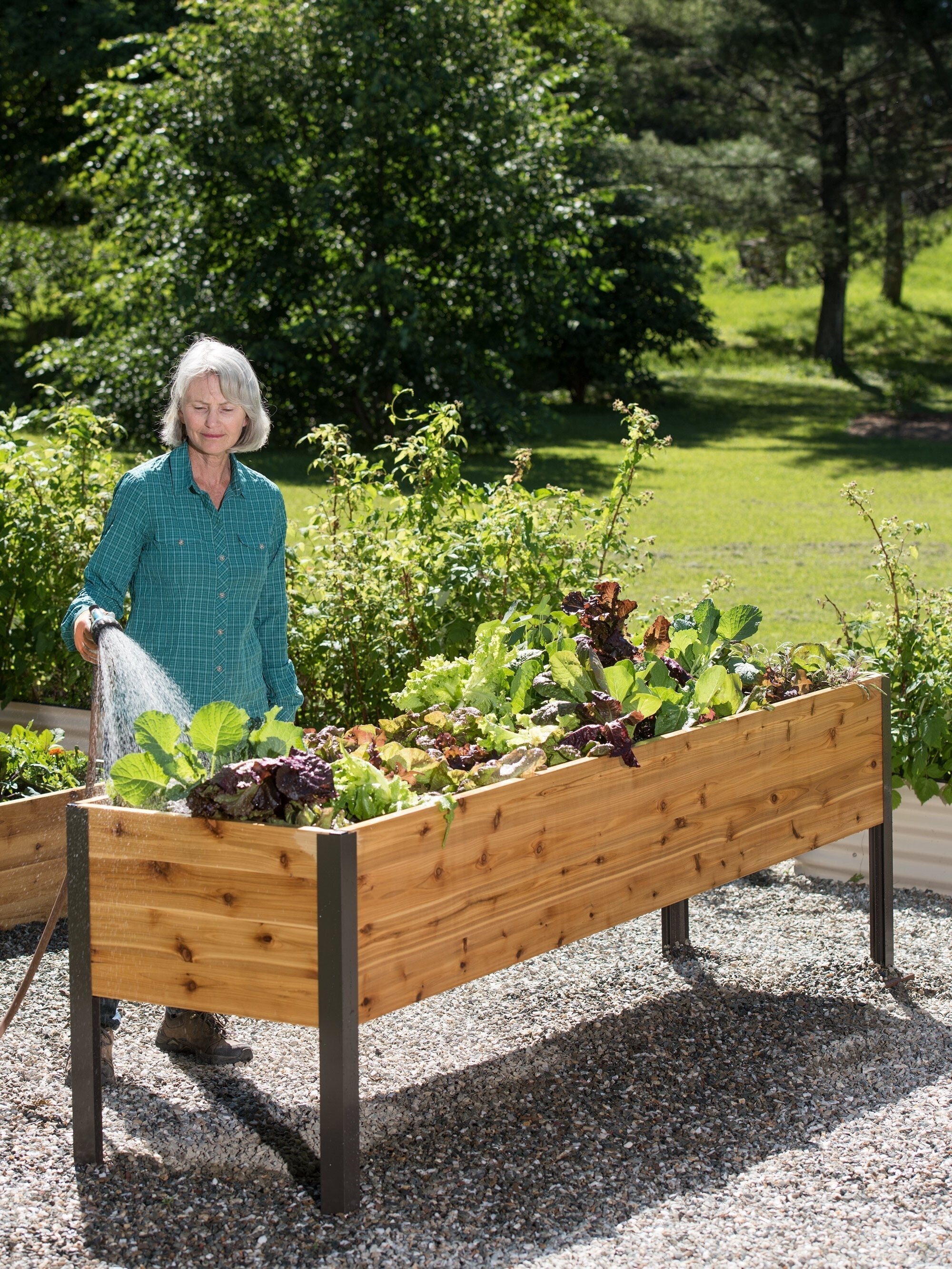 Watering Eco Stained Elevated Planter Box