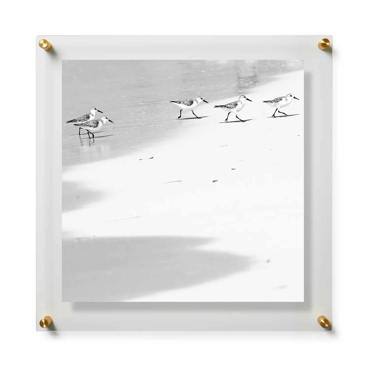 Happy Little Sanderlings 2 by Lisa Cirilli