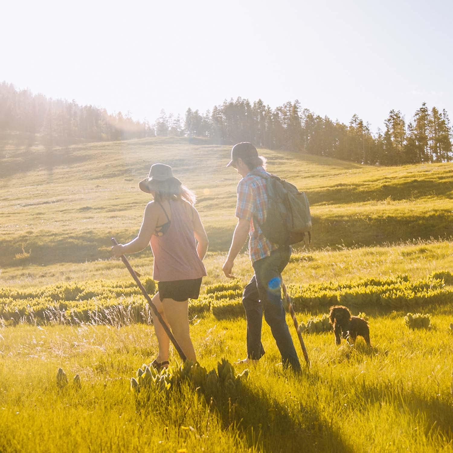 Trekkingstock Wanderstock für Damen und Herren, handgefertigt aus leichtem Holz, hergestellt in den USA